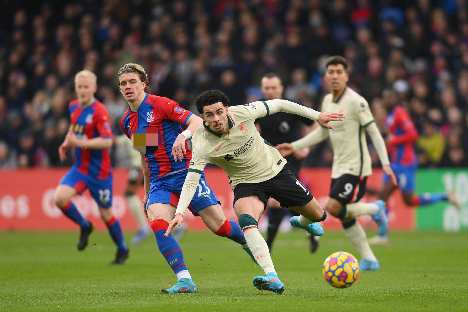 如果從歐洲 如果從歐洲