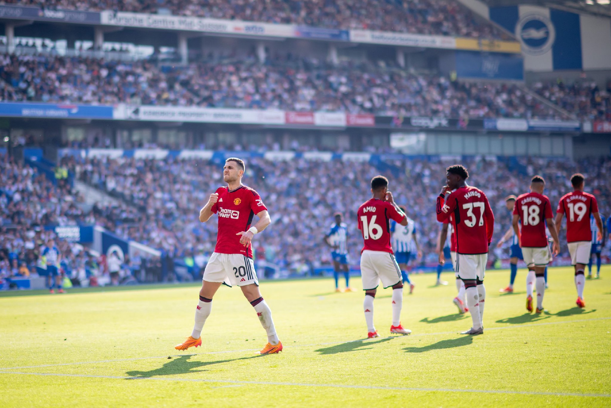 多利德将为 多利德将为